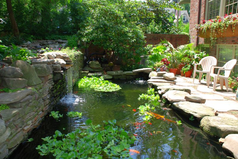 Garden Pond Installation in Honolulu, HI