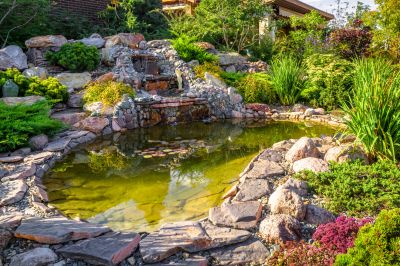 Garden Pond Installation in Honolulu, HI