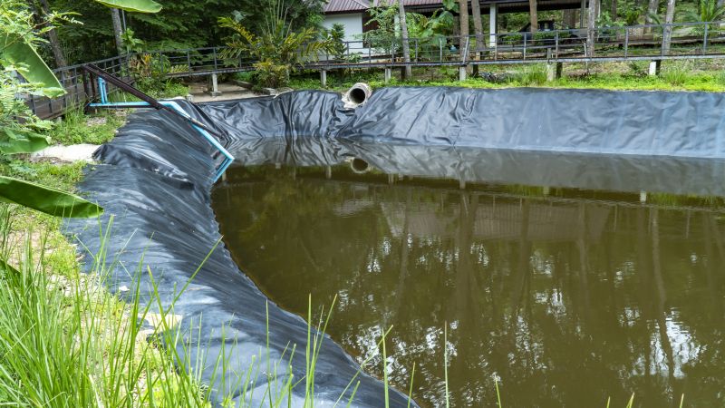 Pond Cleaning in Honolulu, HI