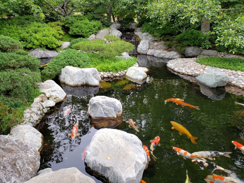 Pond Installation in Ventura County, CA