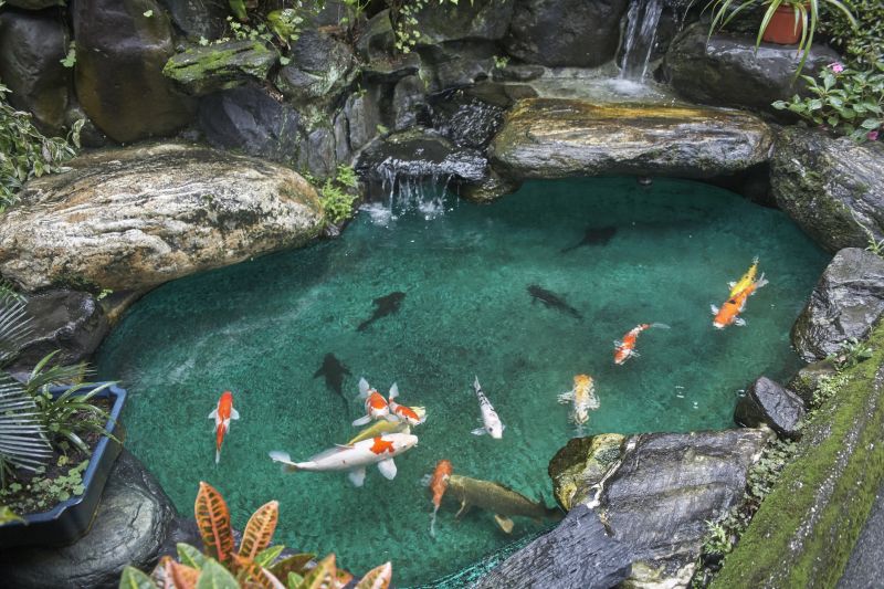 Pond Maintenance in Honolulu, HI