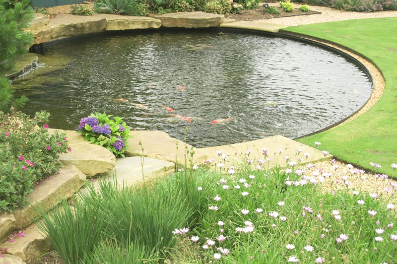 Pond Maintenance in Honolulu, HI