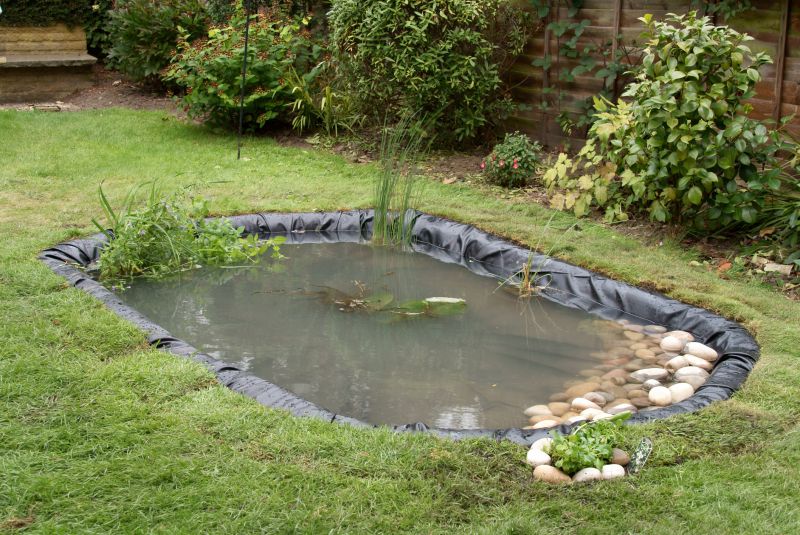 Pond Restoration