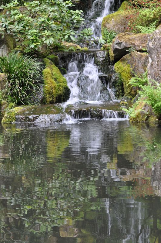 Fall Pond Preparation
