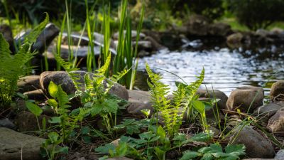 Add a Pond Liner.