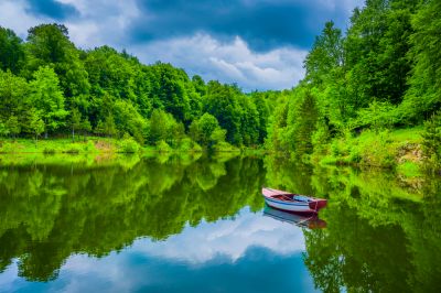 Improve Water Quality.