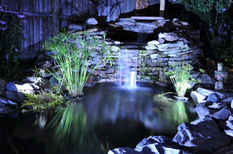 Garden Pond Installation in Honolulu, HI