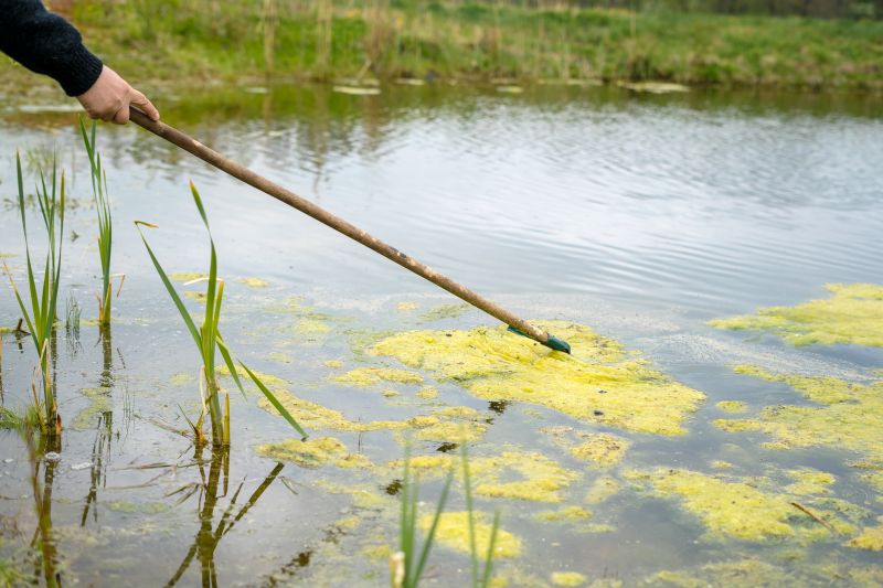 Pond Maintenance in Honolulu, HI